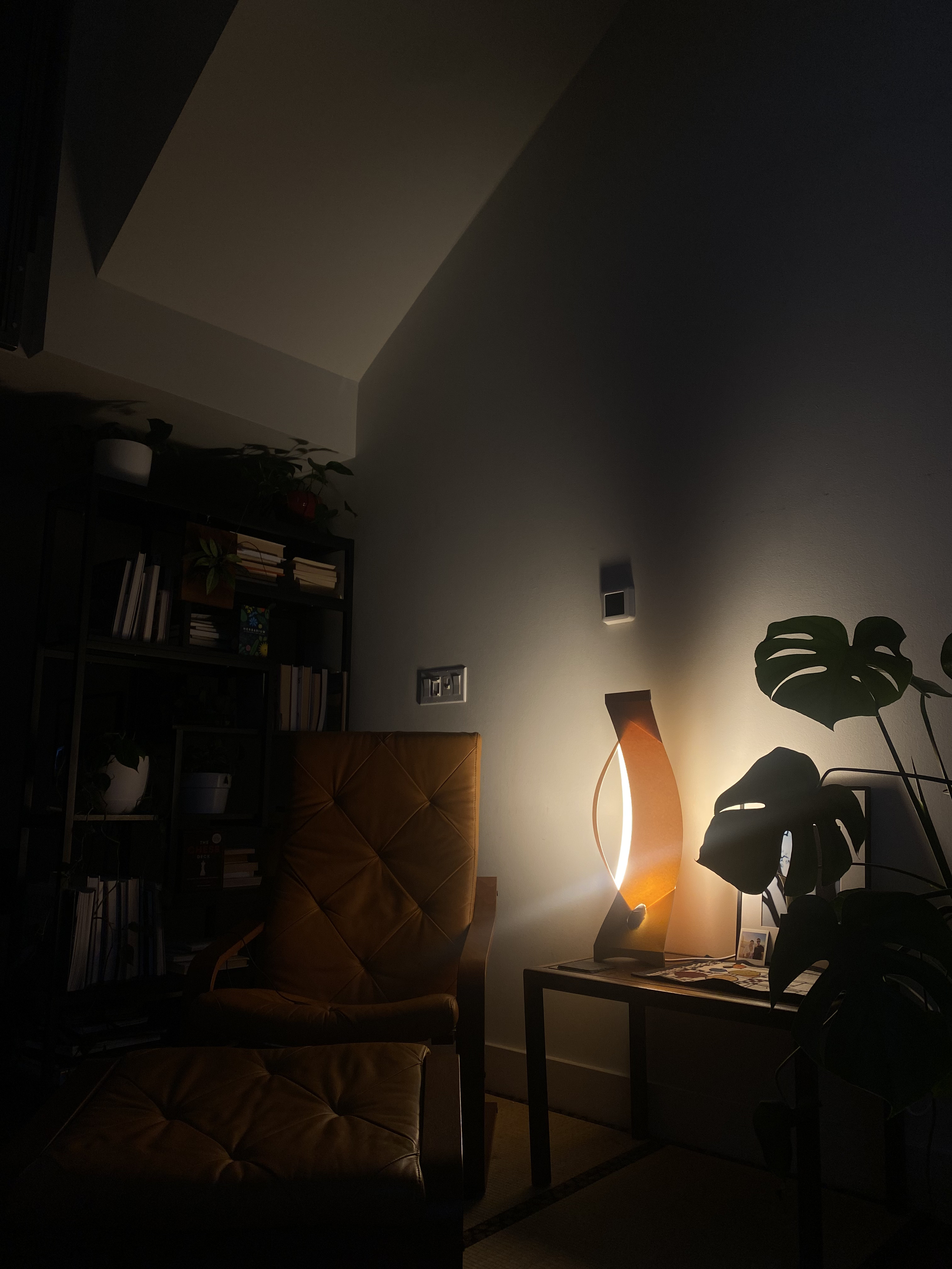 fountain in lush environment