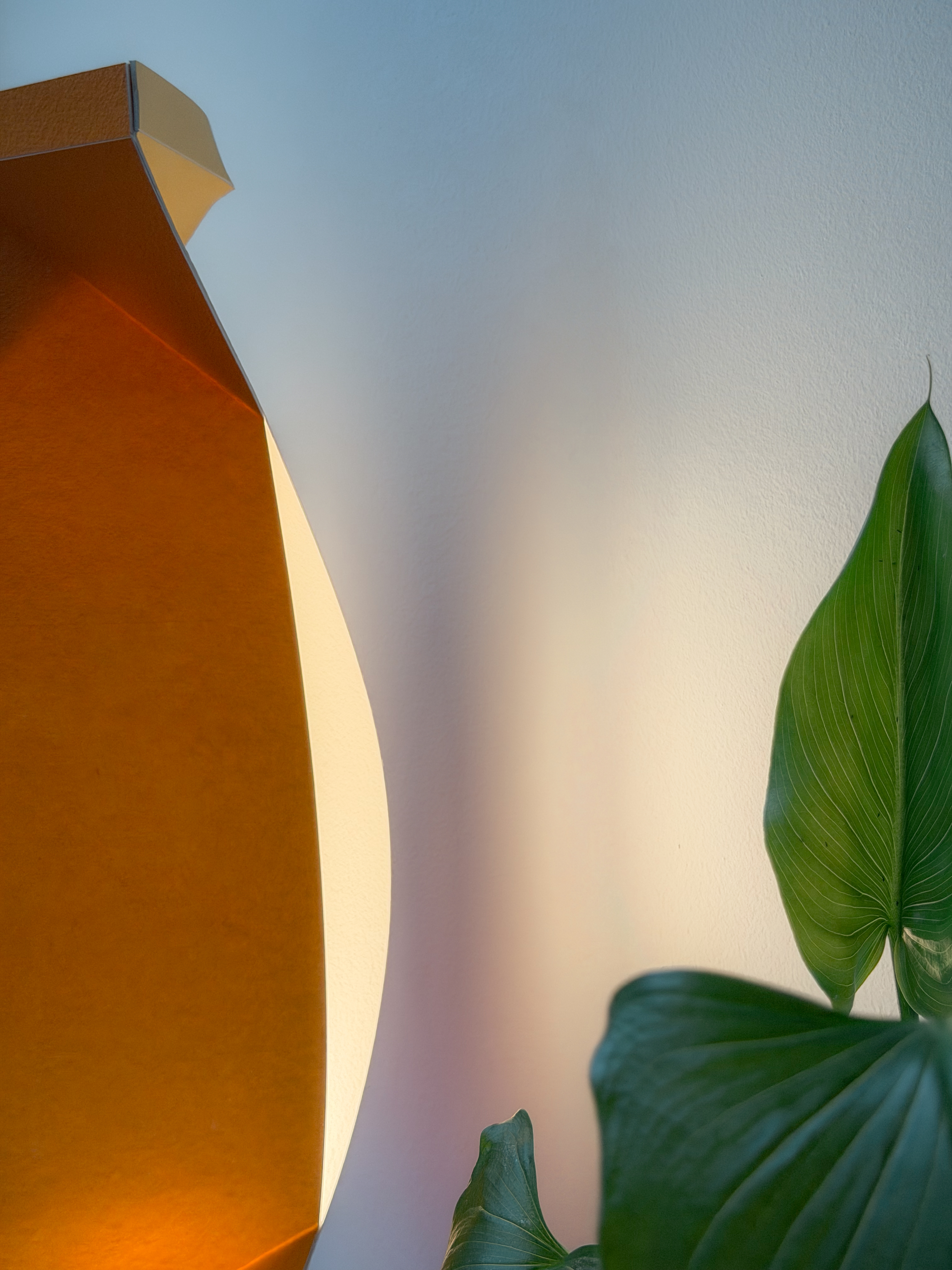 garden full of hedges and flowers