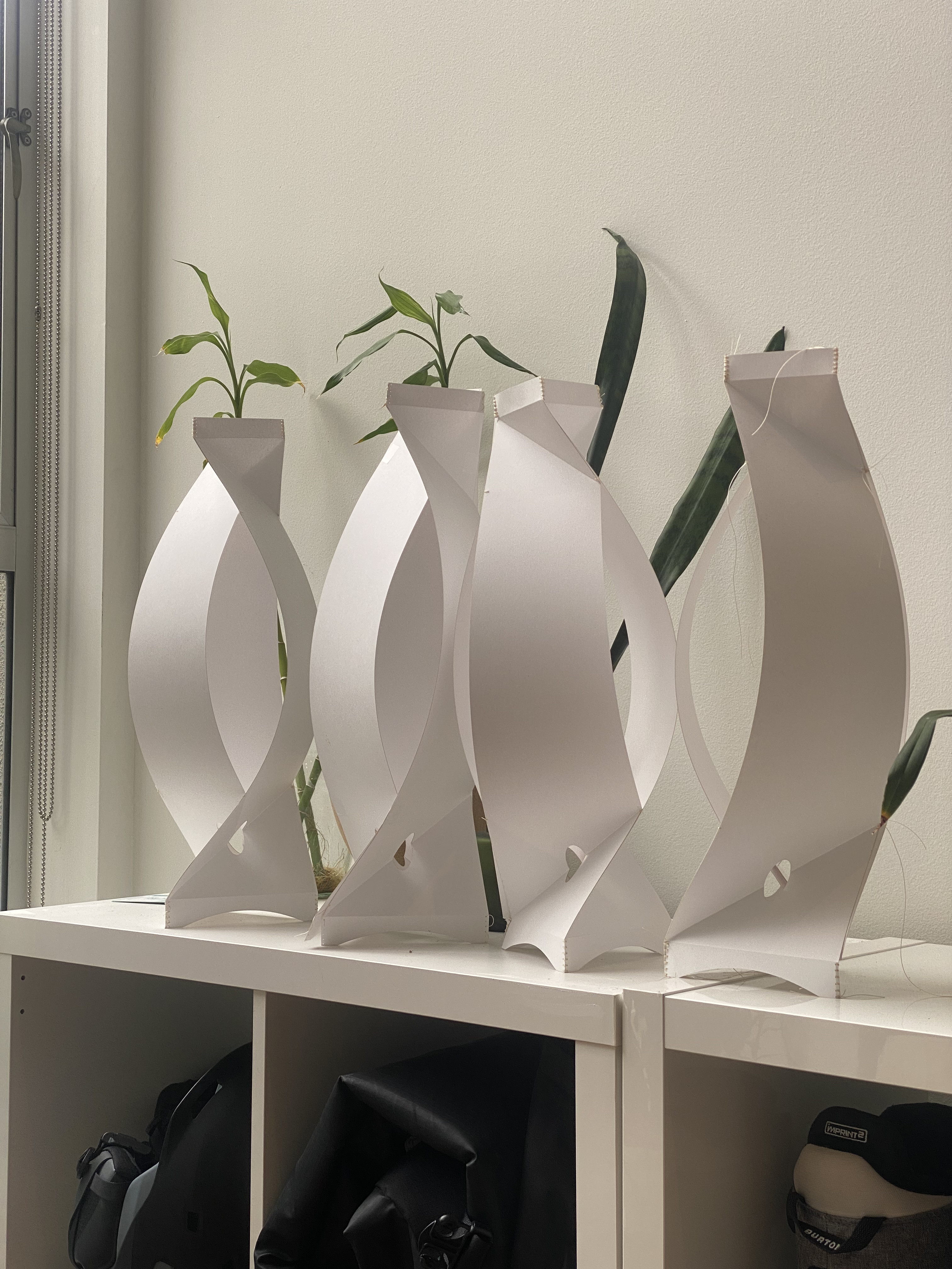 close-up of green plant