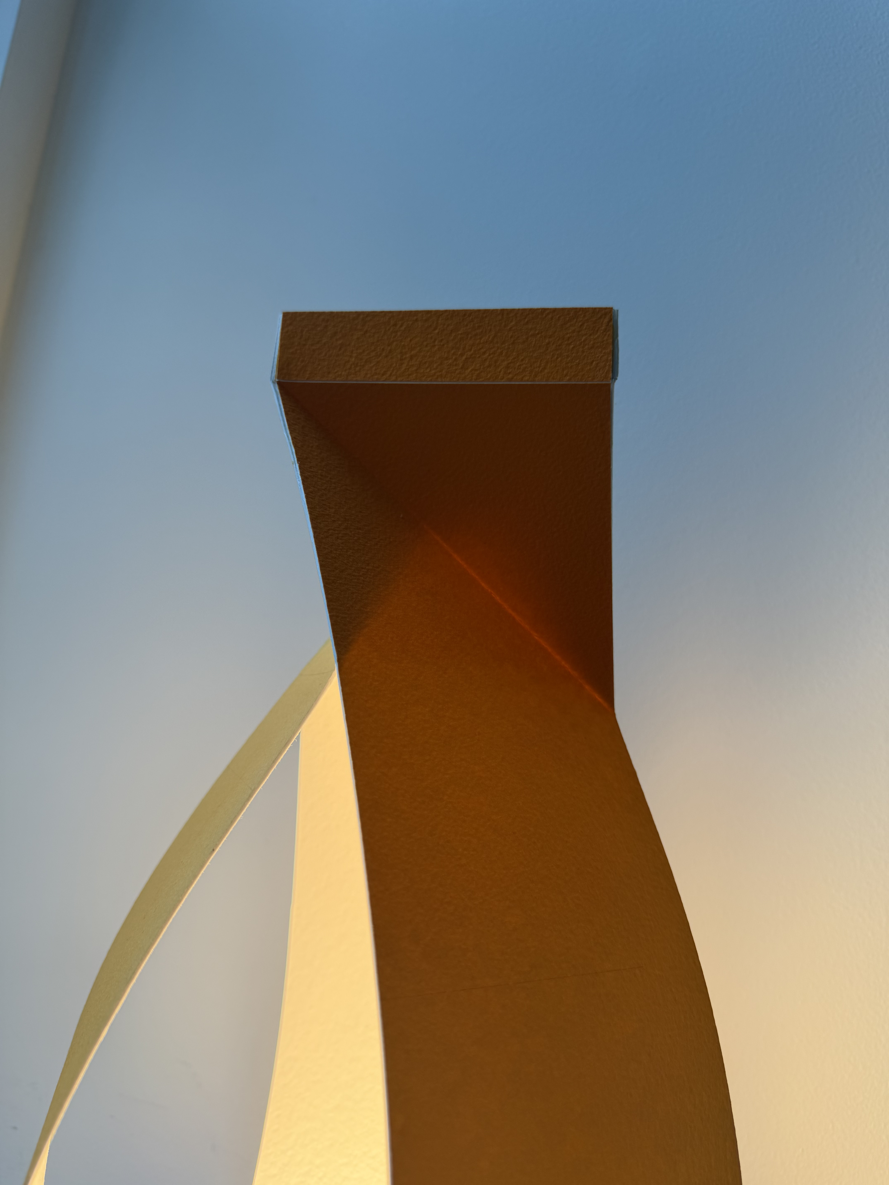 close-up of pine needles